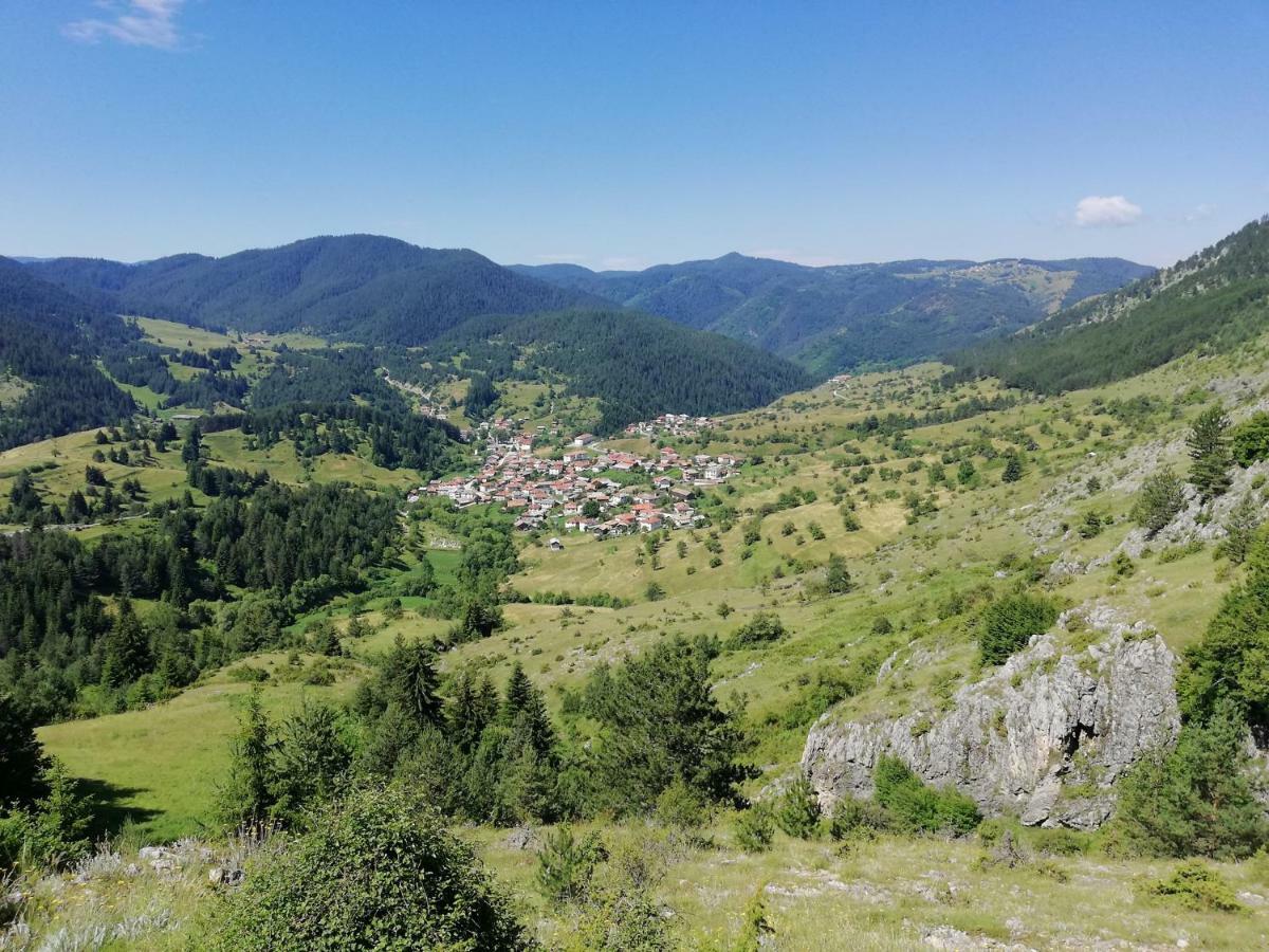 Къща За Гости Романс Yagodina Eksteriør billede